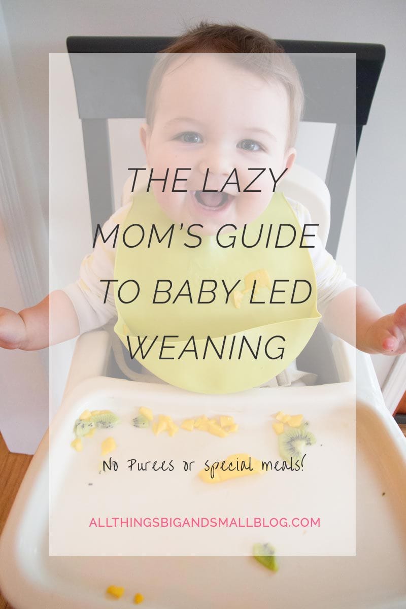 baby-led-weaning-easy-way