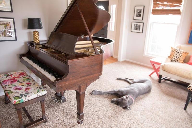 steinway baby grand piano in light gray living room with great dane sleeping on the floor