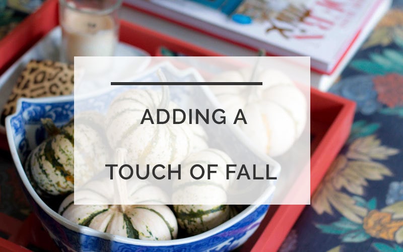 Fall decor accents that are budget-friendly and beautifyl ALL THINGS BIG AND SMALL