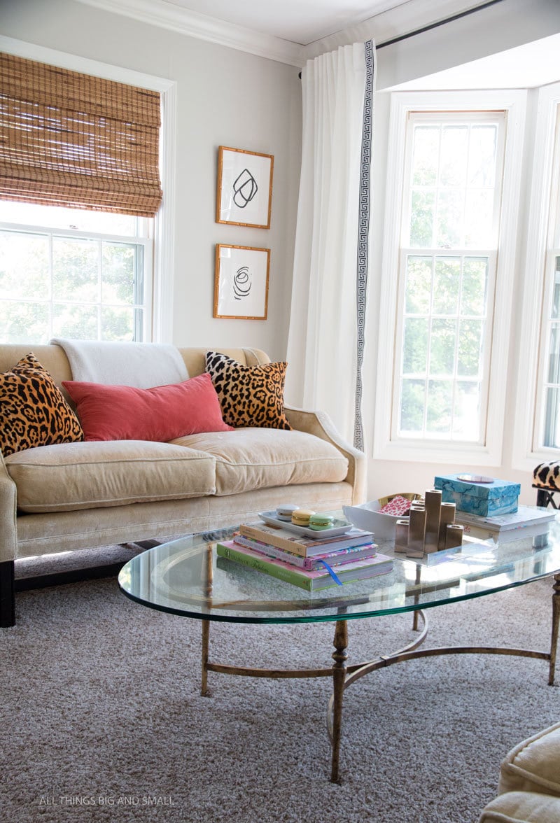 Accent pillows cheap sale
