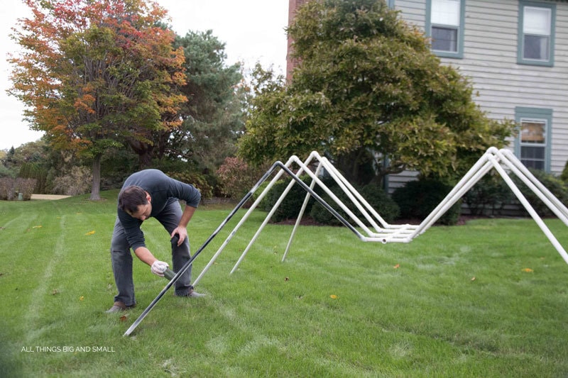 OMG! Love this Giant spider Halloween decoration 