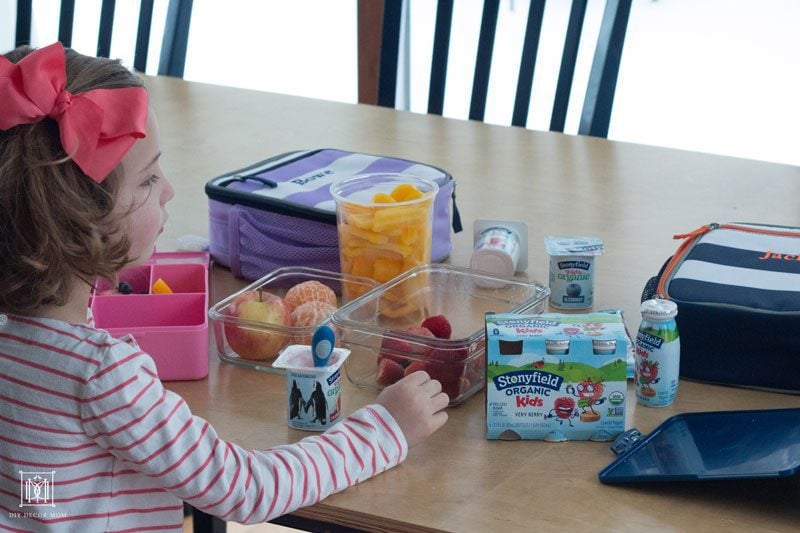 tips for packing a healthy toddler lunch box from mom blogger DIY Decor Mom