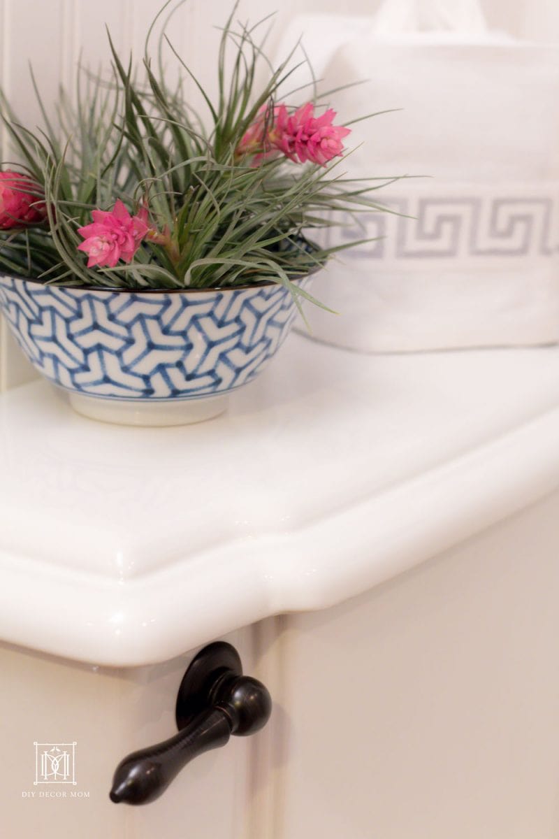 blue and white bowl in blue bathroom on toilet