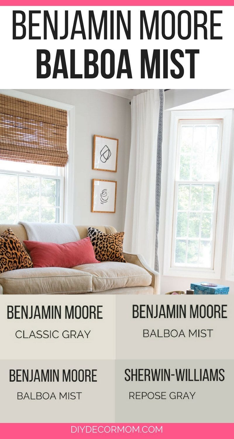 Benjamin Moore Balboa Mist: See BM Balboa Mist on interior walls of living room, dining room,