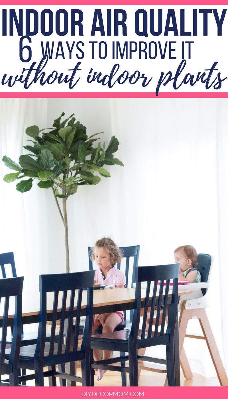 how to improve indoor air quality picture of girls sitting at kitchen table with faux fiddle leaf fig