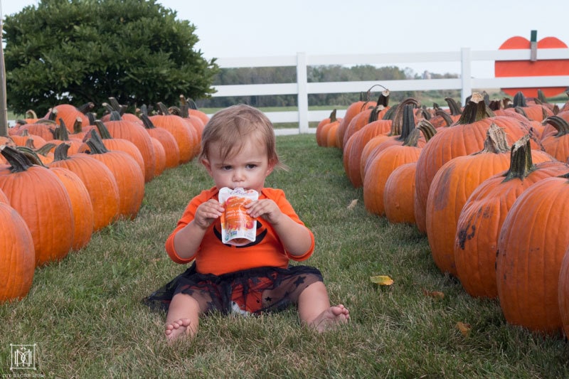 fall bucket list for families and babies