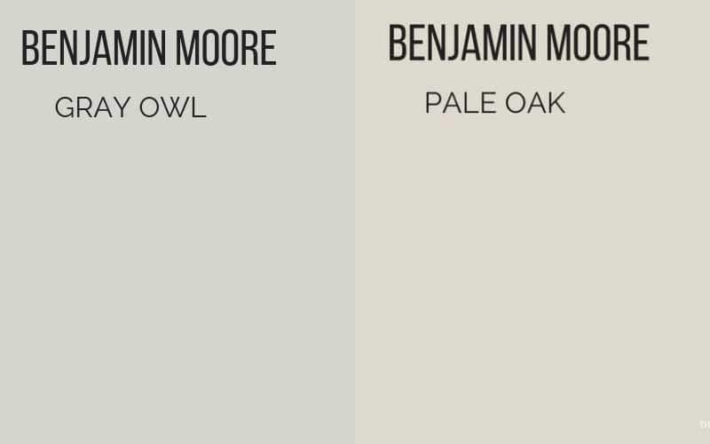 BM Gray Owl vs. Pale Oak