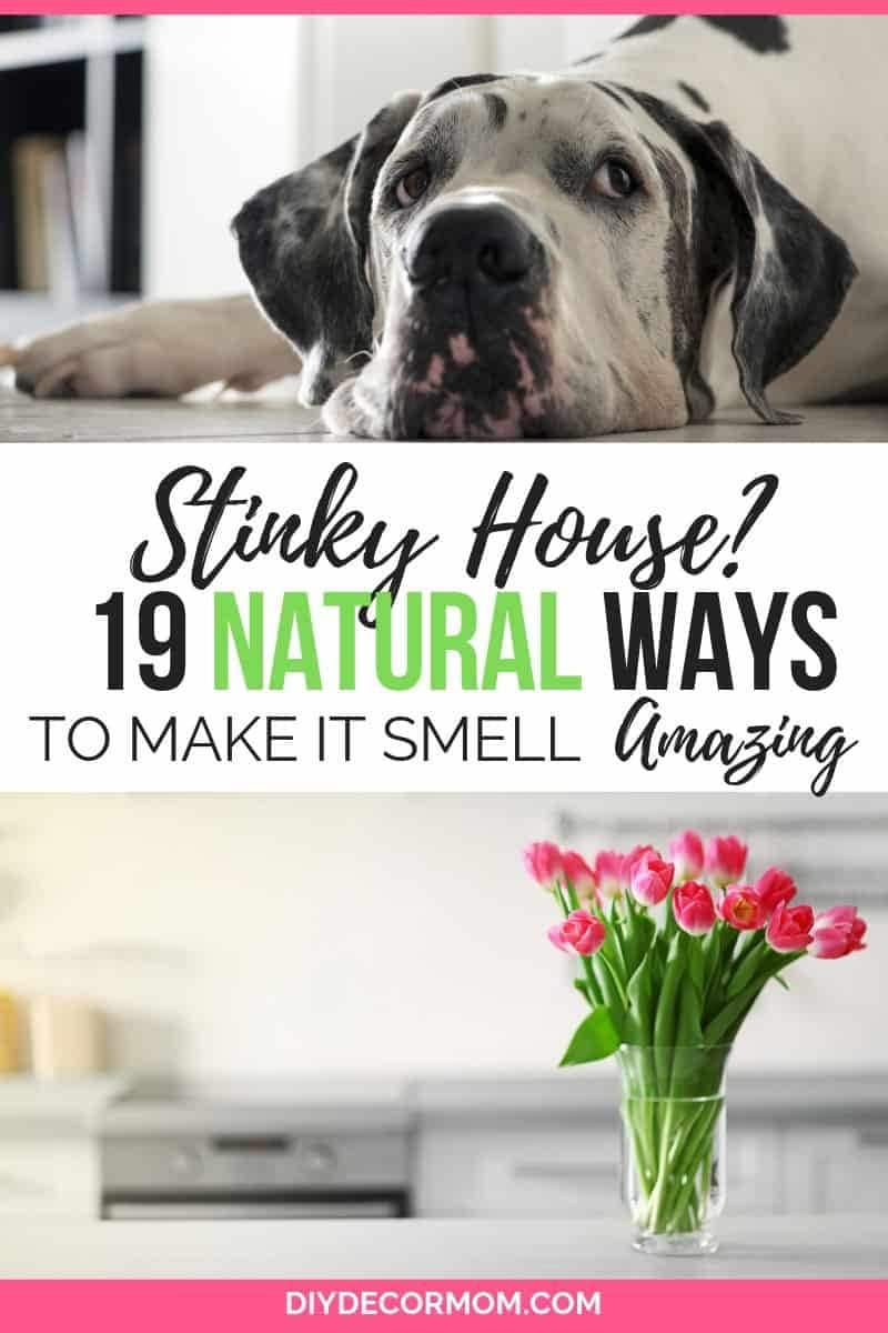 how to make your house smell amazing- 19 natural ways to get rid of stinky house