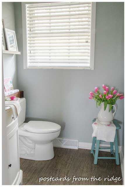 small bathroom BM tranquility