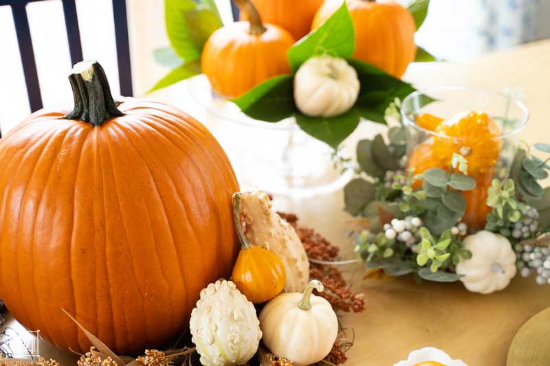 pumpkin and gourds on table