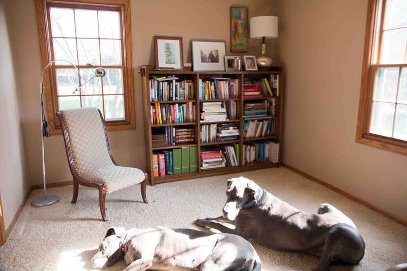 dark office with wood tones and large dogs