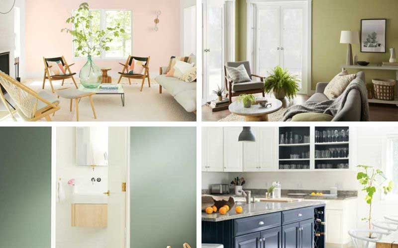 2020 colors of the year and paint trends