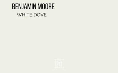 benjamin moore white dove paint chip